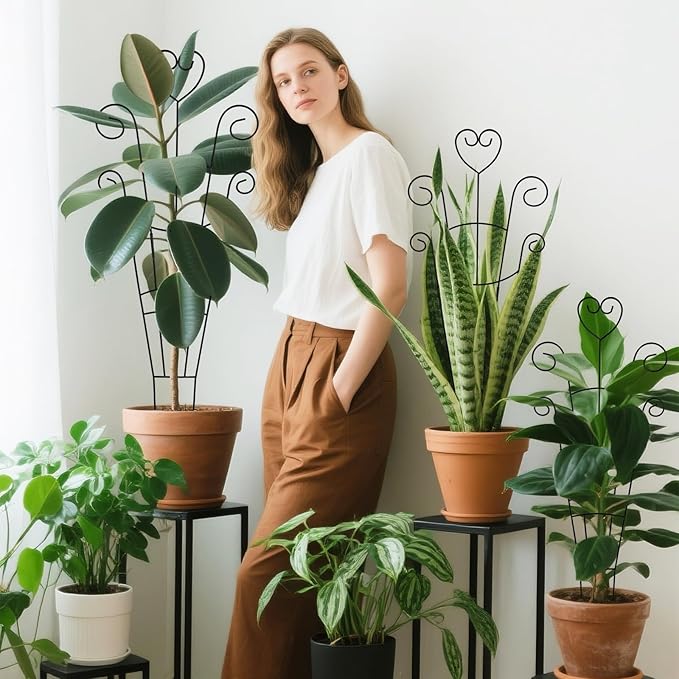 30Inch Plant Trellis for Climbing Plants Outdoor,Indoor Metal Garden Trellis for Potted Plants, Houseplant Plant Support Indoor Outdoor for Ivy Pothos Monstera Hoya Flower Vine Black Heart 2 Pack(2)