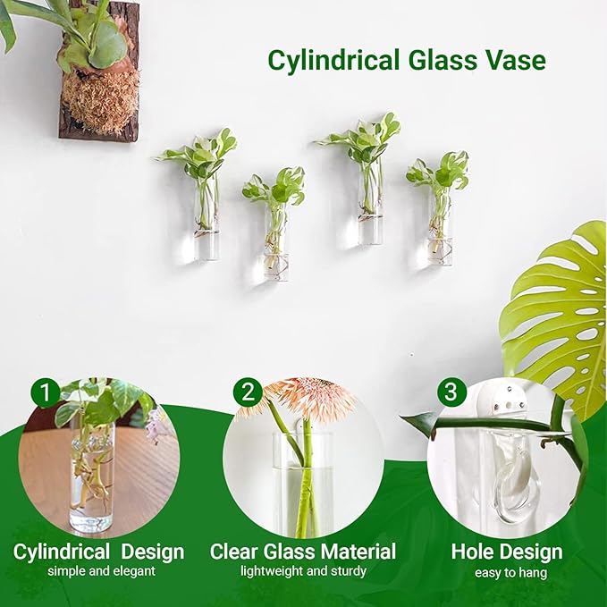 Propagation Station, Plants Terrarium, Plants Lover Gifts for Women,Plant Cutting Holder Home décor,Gifts for Women,House Warming New Home-4 Cylinder Shape