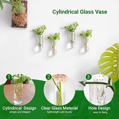 Propagation Station, Plants Terrarium, Plants Lover Gifts for Women,Plant Cutting Holder Home décor,Gifts for Women,House Warming New Home-4 Cylinder Shape