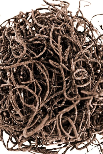 SuperMoss (26972) Spanish Moss Preserved, Coffee, 8oz (200 cubic inch)