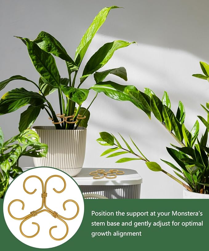 10Pcs Plant Stem Supports for Indoor Plants,2025 New Durable Adjustable Monstera Plant Stabilizer Support,Golden Climbing Plants Stabilization and Support Outdoor 4.1x4.1 inches(10PC-B)