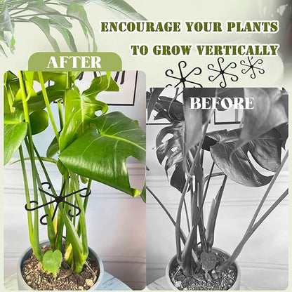 4Pcs Plant Stem Supports, Reusable Plastic Plant Accessories Indoor, Monstera Plant Support for Climbing Houseplants, Stakes Trellis Stem Hook Growth Tools for Neat Garden Arrangement(Black)
