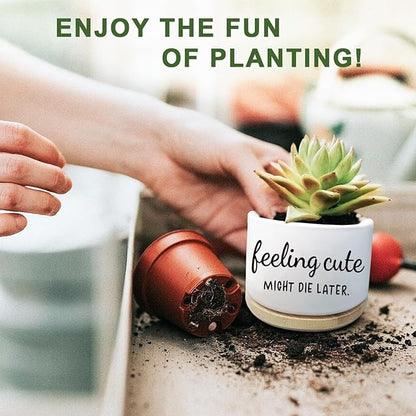 Funny Succulent Planter, Flower Cactus Plant Pot for Indoor Plants, Cute Planter Pots with Drainage and Tray, Office Home Windowsill Decor Planter Gift for Women Men (No Plants)
