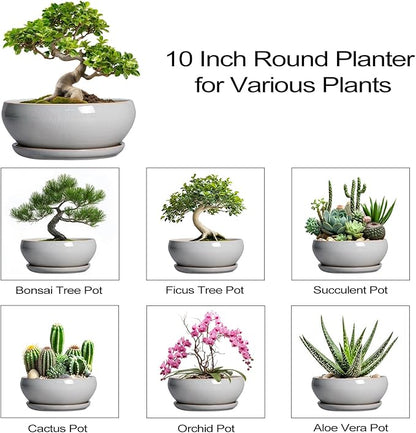 SQOWL Bonsai Pots - 10 Inch Ceramic Succulent Pots with Drainage Hole and Saucer, Large Shallow Indoor Planter, Bowl Round Planter Outdoor, Living Room Decor, Plant Lover Gifts, Gray