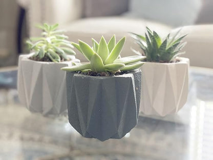 Geometric Nordic Cement Succulent Pots 4.3" Planters with Drainage | 3 Pack…