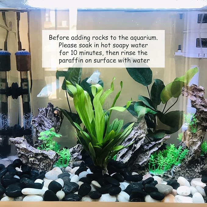 10 lbs Black Pebbles for Plants, 0.8-1.2 Inch Small Polished Stones. Decorative River Rocks for Outdoor Landscaping Vase Aquarium and Garden