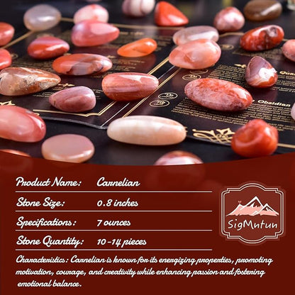Polished Stone Set Carnelian Crystals, 0.8" Handpicked Tumbled Gemstones Rocks, Pebbles for Reiki, Chakra, Healing, Home Decor