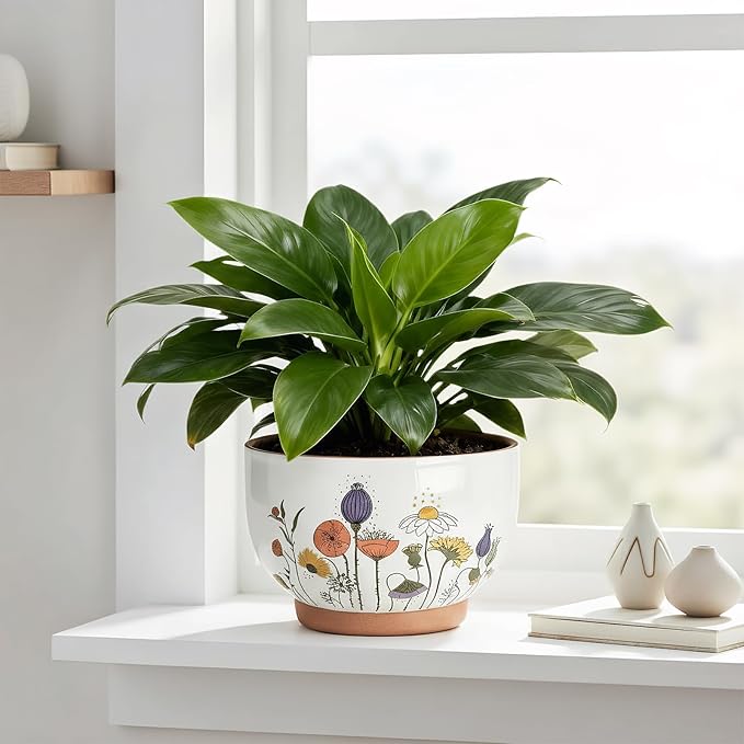 YBX 8 Inch & 6 Inch Terracotta Plant Pots, Flower Pots for Indoor Plants with Drainage, Planters with Floral Accent for Indoor Plants (French Country)