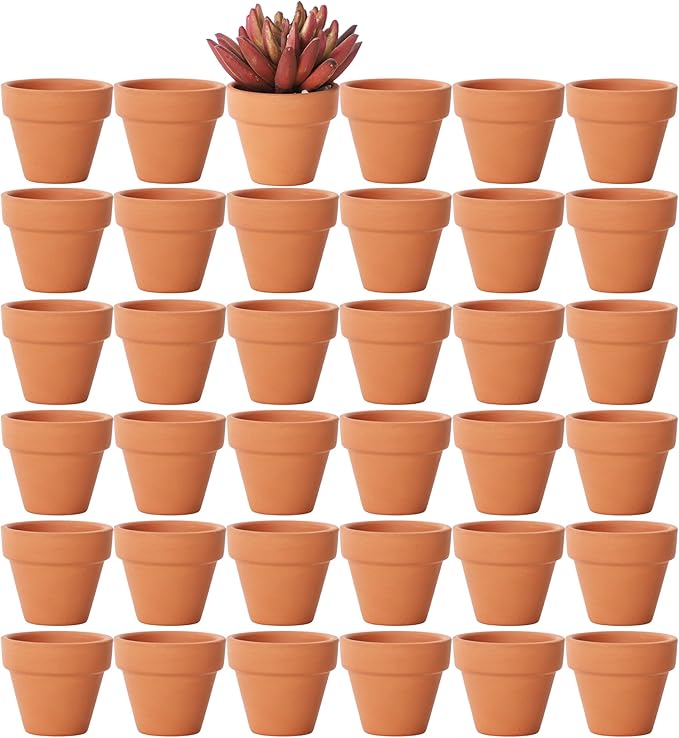 Yishang 1.9 Inch Tiny Terracotta Pots Pack of 36-Small Mini Clay Pots with Drainage Holes Flower Nursery Terra Cotta Planter for Tiny Cactus Herb lithop,Succulent Plants,Crafts,Wedding Favor