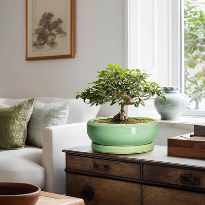 10 Inch Bonsai Tree Pots - Ceramic Succulent Pots with Drainage Hole and Tray, Shallow Planter for Indoor Outdoor Plants, Round Planters, House Decor, Gifts for Plant Lovers, Light Green