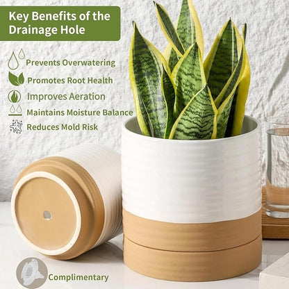 HASENSE Pots for Plants, 8+6+4.6 Inch Ceramic Plant Pots Indoors with Drainage Hole and Tray, White Planters Set for Outdoor Indoor Plants, Farmhouse Home and Office Decor, Set of 3