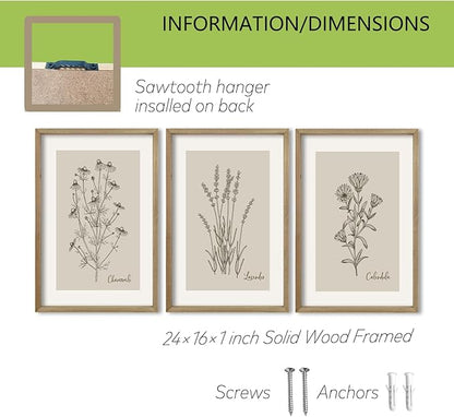 TQianJiang Vintage Botanical Wall Art 24"x16" Set Of 3 Wood Framed Wildflower Pictures Wall Decor for Bedroom Minimalist Wall Hanging (Wood)