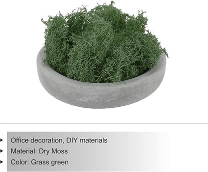 MECCANIXITY 3.5 OZ Moss Fake Craft Moss Artificial Moss Natural Preserved Moss for Craft Arts Floral DIY Project Wall Wedding Garden Patio Table Terrariums Decoration(Grass Green)