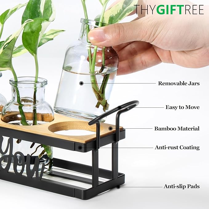 THYGIFTREE Plant Propagation Stations, for Plant Lovers Rooting for You Propagate Jars for Hydroponic Cuttings Propagating Vase