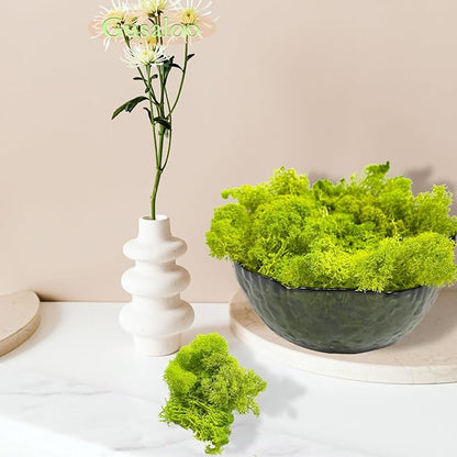 Preserved 5oz Moss Artificial Moss Natural Fresh Green Moss for Craft Handicraft Arts Floral Project Wall Decor Table Decor Wedding Centerpieces Garden Terrariums Decoration