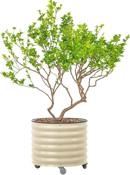 Rolling Metal Citrus Tree Planter Pot, 27″ Round Planter Box for Porch Patio & Backyard, 45 Gallon Large Planter Pot with Wheels for Growing Trees Tomatoes Vegetables and Flowers, Pearl White