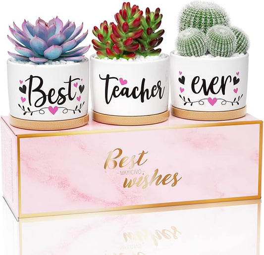 Teacher Gifts for Women, Funny Christmas Teacher Gifts, Birthday Gifts for Teacher Appreciation Gifts from Student Best Teacher Gifts, Ceramic Teacher Succulent Pots for Plants Indoor Retirement Gifts