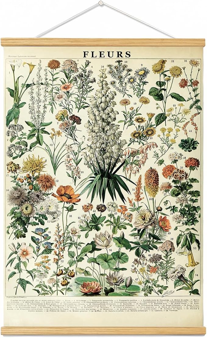 Vintage Flowers Poster Hanger Frame, Plant Floral Reference Chart Wall Decor Cottagecore Room Decor Aesthetic, Retro Style Wall Decor Art Painting Prints. (plant C, 18L x 12W)