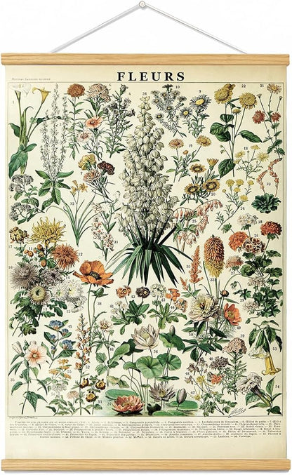Vintage Flowers Poster Hanger Frame, Plant Floral Reference Chart Wall Decor Cottagecore Room Decor Aesthetic, Retro Style Wall Decor Art Painting Prints. (plant C, 18L x 12W)