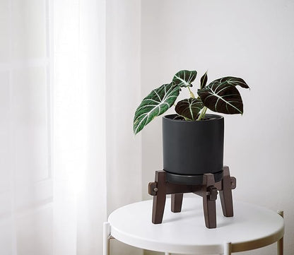 D'vine Dev Ceramic Planter with Wood Stand - 6 Inch Mid Century Modern Cylinder Plant Pot Set for Indoor Plants & Flowers, Black, 55-A-Z-2