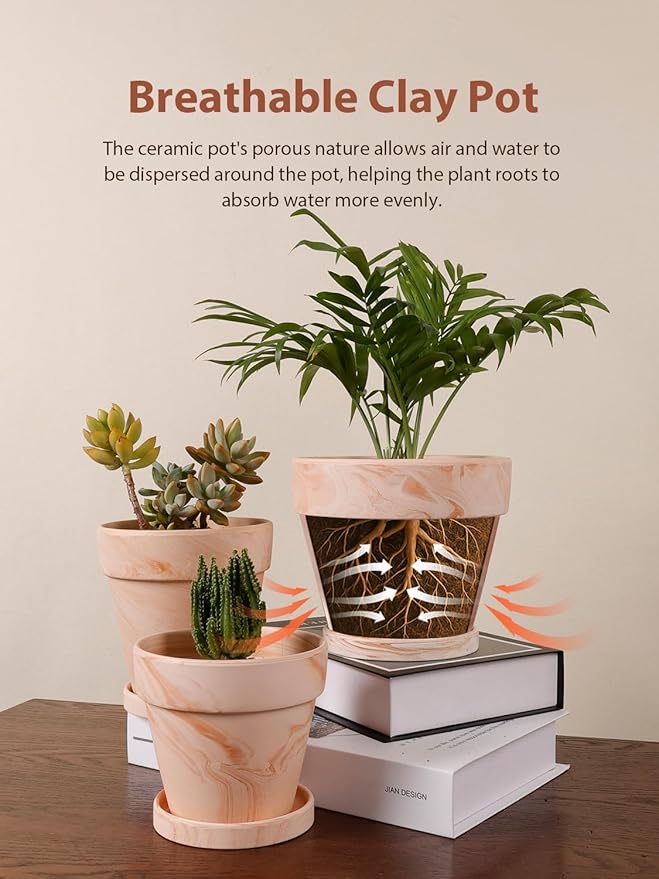 INGOFIN Terracotta Plant Pots 4.7/5.1/6.3 Inch Set of 3, Red White Clay Flower Pots with Drainage Holes & Tray Saucer, Breathable Garden Planters for Indoor Outdoor, Succulent, Cactus, Herbs