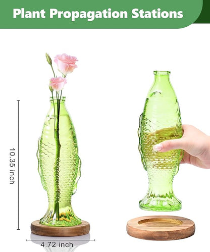Nacome Fish Vase Propagation Stations: Glass Plant Terrarium with Wooden Stand for Home Office Desk Decor, Unique Gifts for Plant Lovers Women Mom (Green)