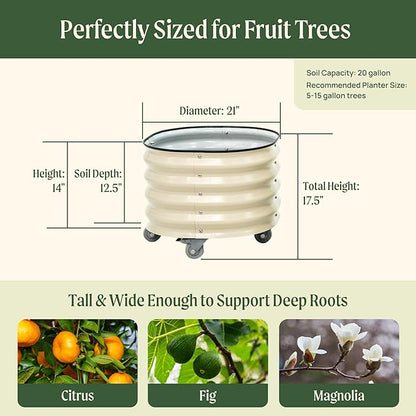 Rolling Metal Citrus Tree Planter Pot, 21″ Round Planter Box for Porch Patio & Backyard, 20 Gallon Large Planter Pot with Wheels for Growing Trees Tomatoes Vegetables and Flowers, 2 Pack Modern Gray
