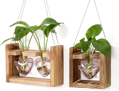 2+1 Plant Terrarium Plant Propagation Station Birthday Gifts for Women Home Office Decor with Wooden Stand