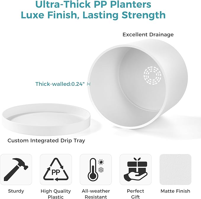 FaithLand 8-Inch Modern Cylinder Planter, Thick-Walled Plastic Plant Pot with Drainage Holes and Detachable Saucer, Matte White, Ideal for Indoor & Outdoor Plants Flowers