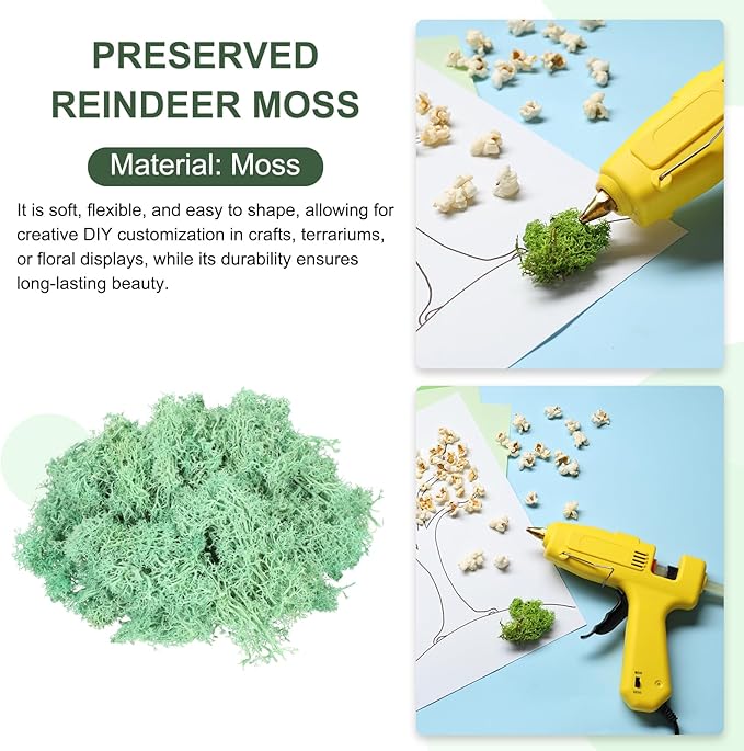 MECCANIXITY 3oz Preserved Reindeer Moss, Green Decorative Artificial Fake Moss for Potted Plants Indoor Crafts Lichen Centerpieces Decor