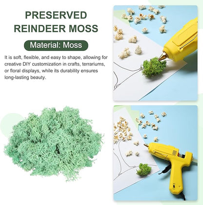 MECCANIXITY 4.6oz Preserved Reindeer Moss, Green Decorative Artificial Fake Moss for Potted Plants Indoor Crafts Lichen Centerpieces Decor