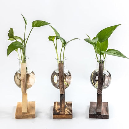 Plant Propagation Station,Plant Terrarium with Wooden Stand,Air Planter Bulb Glass Vase Holder Table Top Decor,Birthday Gifts for Home Office Garden Boho Desk Decor (Light Wood Color)