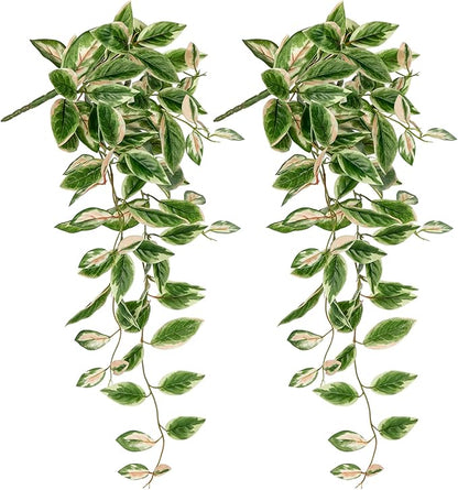 DILATATA Fake Hanging Plants Artificial Hanging Plants 26" Faux Peperomia Hanging Leaves Plants for Wall Shelf Home Indoor Outdoor Decor - 2 Pack
