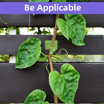 12 Pcs Transparent Plant Stem Support, Reusable Invisible Plastic Stem Support Holders, with 30 Pcs Plant Climbing Wall Clips and 4 Pcs 7 Inch Support Stakes for Monstera Vertical Growth