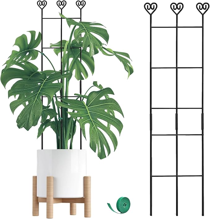 Coomin 2 Pack 32in Monstera Plant Support Stakes for Indoor Plants, Stackable Garden Trellis for Climbing Plants Outdoor, Metal Plant Climber Support for Pothos Philodendron Vine
