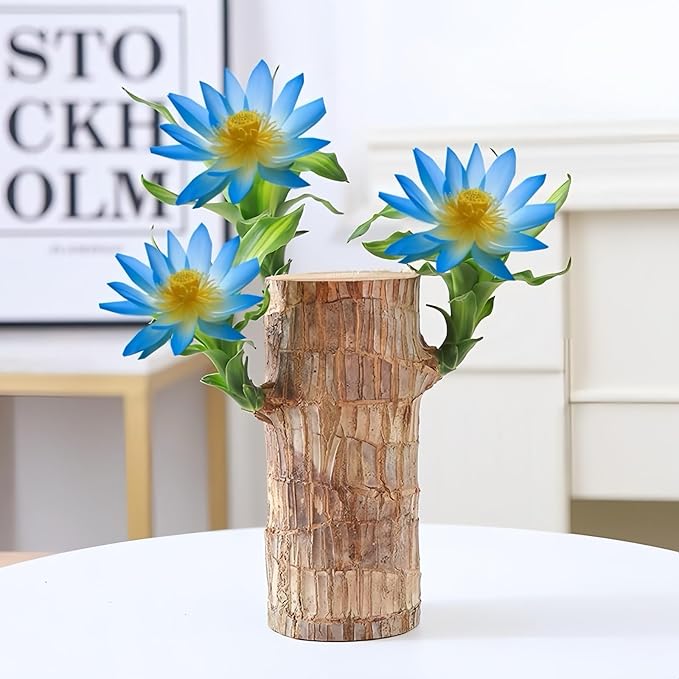 Brazilian Wood Plants,with Base and Mystery Doll Decorations, Easy to Plant in The Home Office to attracts Wealth,Lucky Wood Plant,Home Decoration