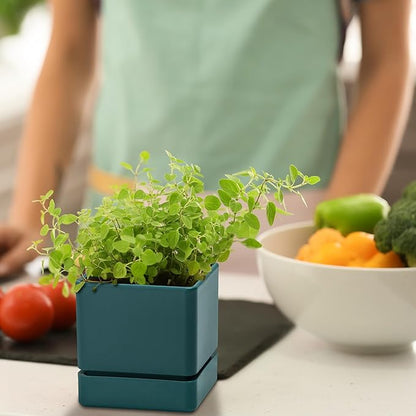 D'vine Dev 4 Inch Herb Planter Pot, Plastic Planter with Drainage Holes and Saucer, Modern Decorative Gardening Pot for Indoor Plants, Flowers, Herbs, Succulents, Green, Set of 1, 76-Y-C-1