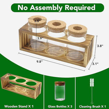 Propagation Stations, Plant Terrarium for Indoor Hydroponic Decor, Glass planters for Fresh Cuttings, Unique Birthday Gifts for Women & Mom, Home/Office Decor