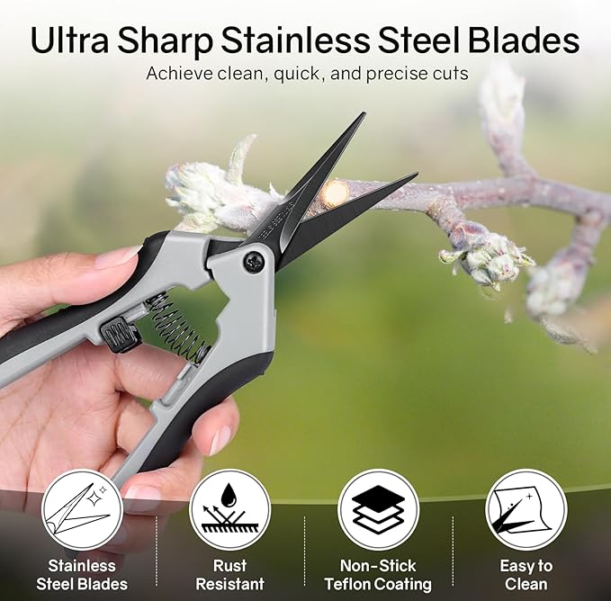 6.5" Ultra Sharp Pruning Shears, 2-Pack Garden Scissors with Stainless Steel Blades, Ergonomic Grip, Rust Resistant, Safety Lock, Trimming Scissors for Plants (1pc Straight & 1pc Curved)