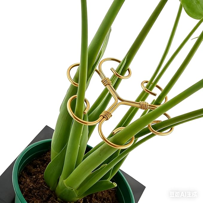 4PCS Iron Monstera Support - 4.1IN Plant Support Stakes for Indoor Plants, Stable Plant Stakes and Supports, Ideal Plant Support for Turtle Shell Bamboo & Houseplants (B)