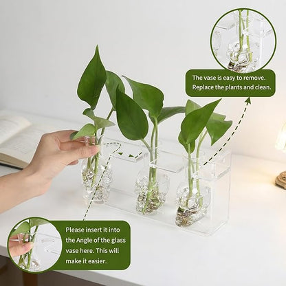 Clear Plant Propagation Station Plants Terrarium Planter Vase Birthday Gifts for Women Girl in Acrylic Stand Home Office Garden Decor
