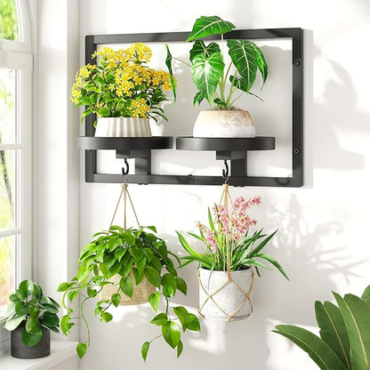 LASZOLA Black Wall Mount Plant Shelves with Hangers for Indoor Flower, Heavy Duty Metal Window Floating Planter Holders Stand, Modern Iron Picture Frame with Hook Decorative for Kitchen Bathroom