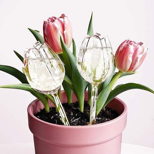 2 Pack Glass Plant Watering Globes, Self Watering Planter Insert Devices, Automatic Watering Bulbs for Indoor Plants, Plant Accessories, Flower Water Tubes, Water Plants Spikes While Away