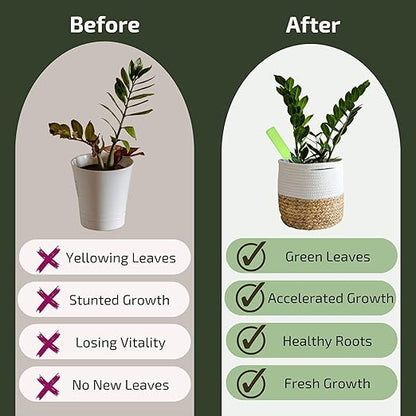 Plant Food for Houseplants | Ready-to-Use Indoor NPK Fertilizer & Plant Fertilizer Sticks (8 Drip Feeders)