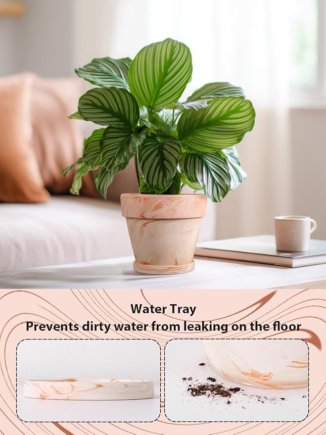 INGOFIN Terracotta Plant Pots 4.7/5.1/6.3 Inch Set of 3, Red White Clay Flower Pots with Drainage Holes & Tray Saucer, Breathable Garden Planters for Indoor Outdoor, Succulent, Cactus, Herbs