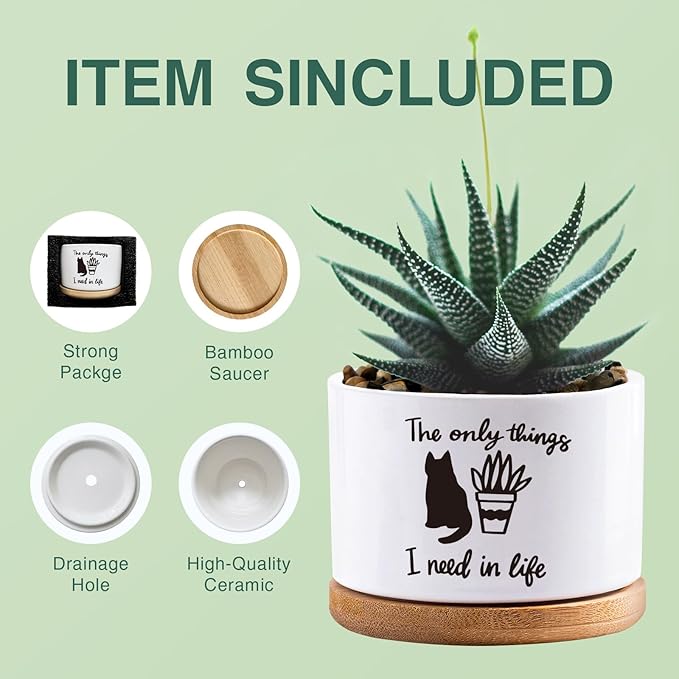 Succulent Cactus Flower White Ceramic Plant Pot with Drainage, Funny Plant Decorative Pots for Plants, Indoor Planter I Need in Life Small Succulent Pots, Not Plant