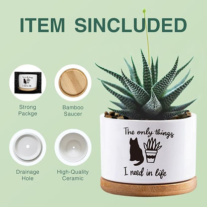 Succulent Cactus Flower White Ceramic Plant Pot with Drainage, Funny Plant Decorative Pots for Plants, Indoor Planter I Need in Life Small Succulent Pots, Not Plant