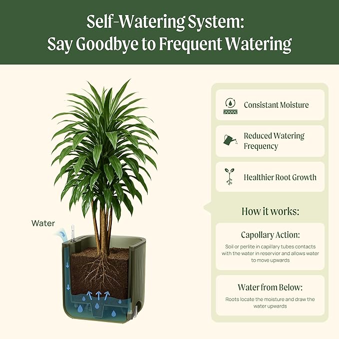 Vego garden Self Watering Pots Home Planters with Water Gauge for Effortless Indoor Plants Fog Gray No Trellis