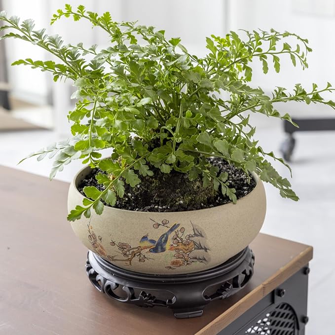 TOIVO Lotus Bowl Planter, Coarse Pottery Water Lily Flower Pot with Plastic Base, 7.8 inches (B-1)