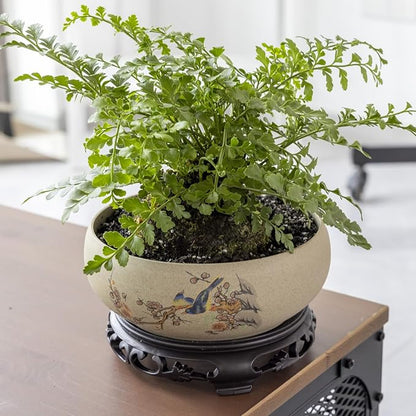 TOIVO Lotus Bowl Planter, Coarse Pottery Water Lily Flower Pot with Plastic Base, 7.8 inches (B-1)